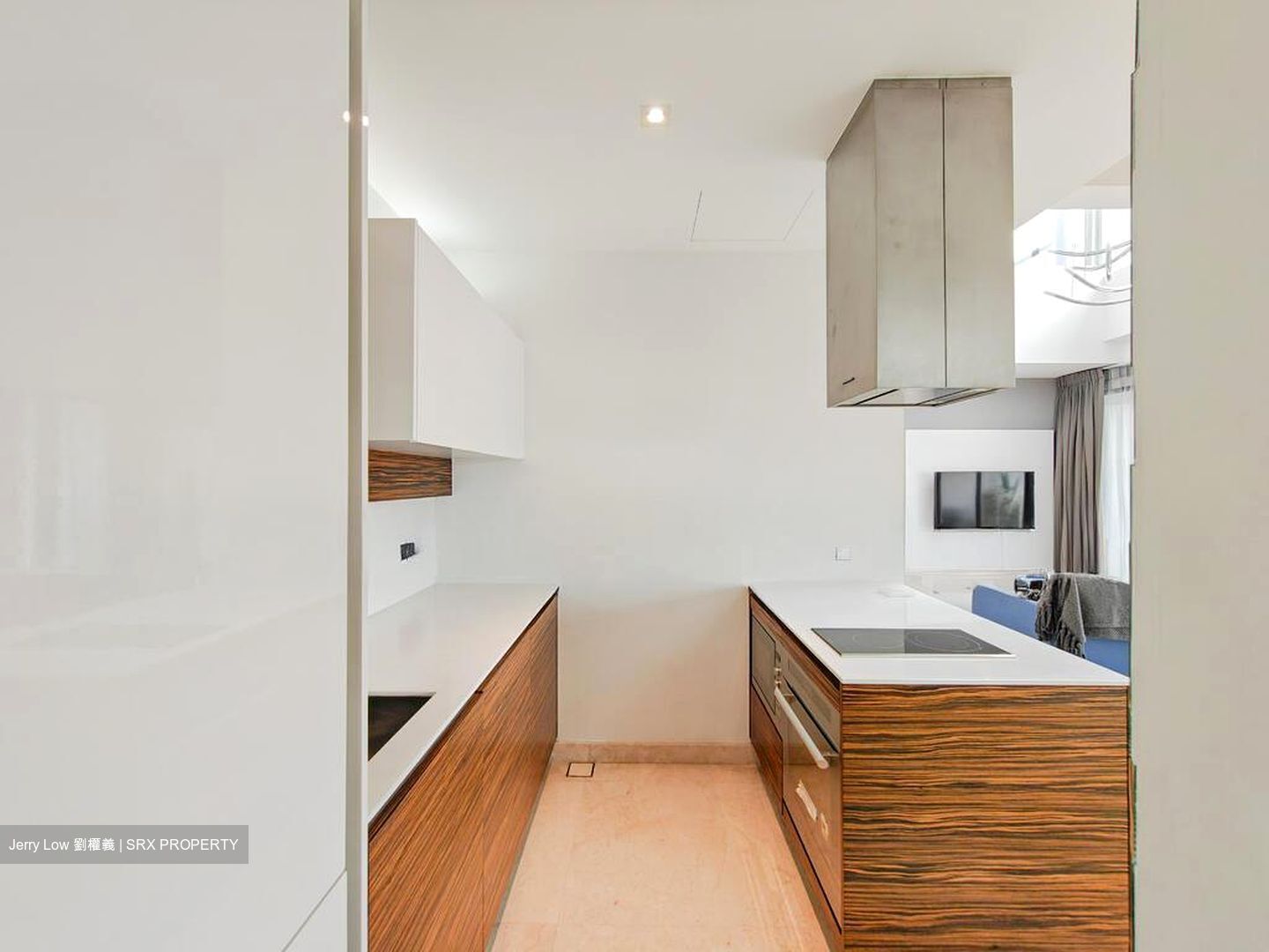 Lucida (D11), Apartment #512554671